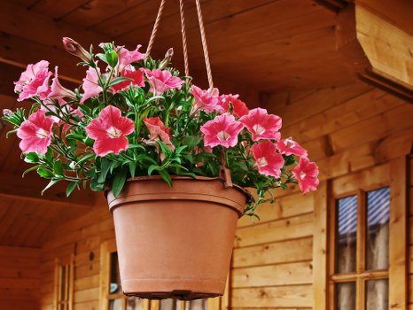 A vibrant bouquet of mixed flowers arranged beautifully.