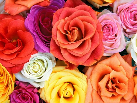 Flower delivery reaching nearby Norwood areas