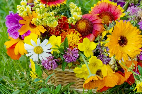 Variety of fresh flowers available for delivery in Cricklewood