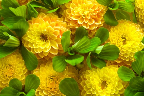 Eco-friendly packaging used by Blackrod flower delivery