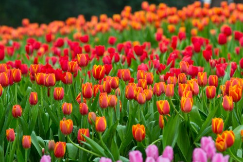 Colorful seasonal flowers available for delivery in Kilburn