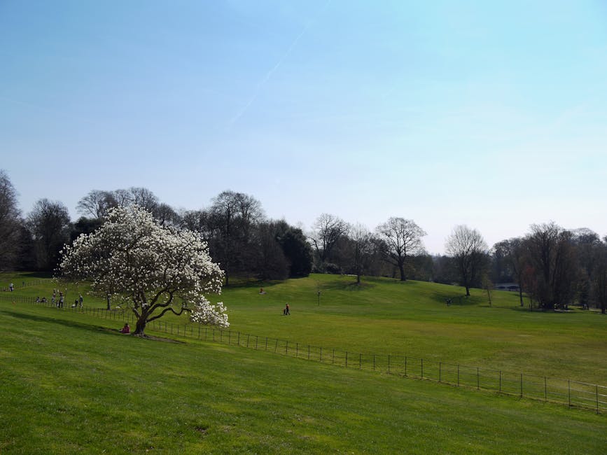 Flowers for Hampstead Heath Picnics: Local Guide