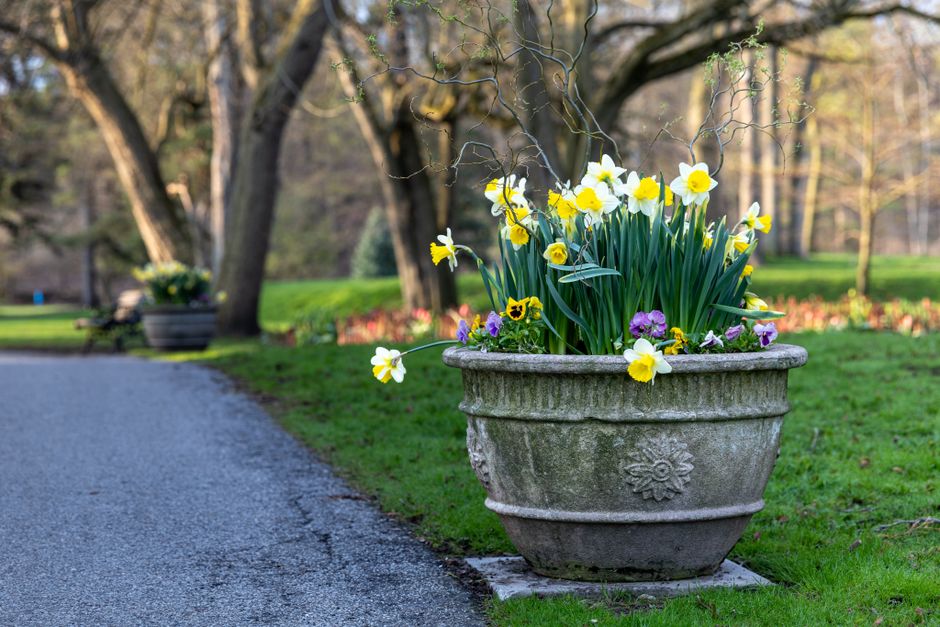 Understanding Westminster Council Permits for Outdoor Flowers