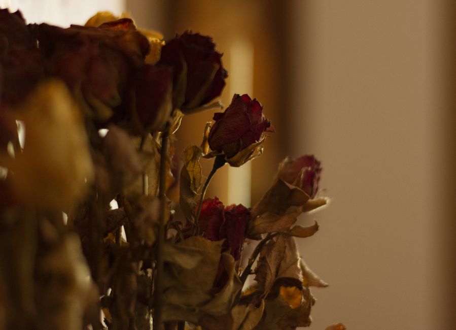 What to Do with Wilted Bouquets After a London Event