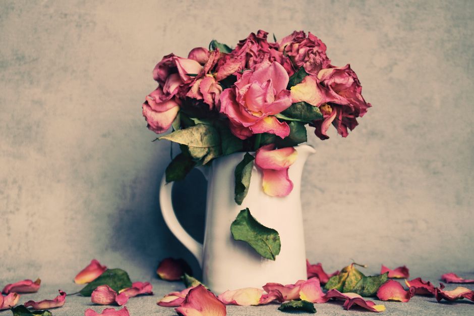A close-up of a bouquet of wilted and withered roses, with petals faded to shades of dark red and brown, and dried, shriveled leaves. The flowers are arranged loosely, some stems visible, with a muted